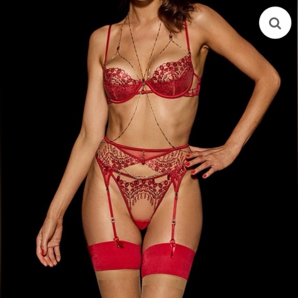 Honey Birdette Scarlet Lace Garter